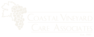 coastal-vineyard
